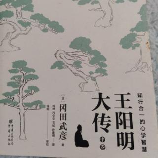 《王阳明大传》中卷37