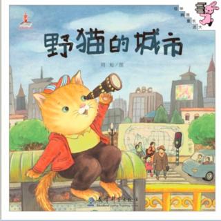 野猫的城市