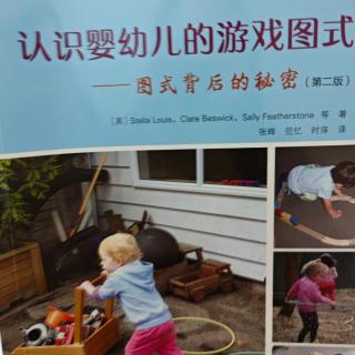 《认识婴幼儿的游戏图式》71-78页