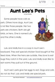 Aunt Lee"s Pets