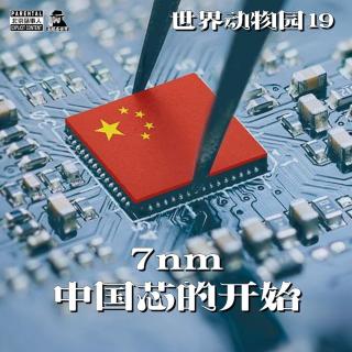 世界动物园Vol.019·7nm·中国芯的开始-圣眼看世界480