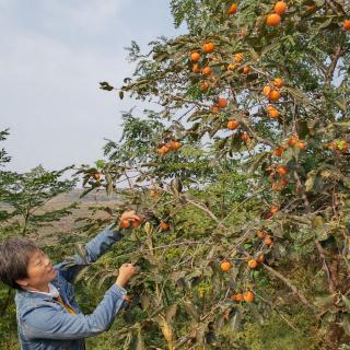 1257.峨眉山月歌~李白