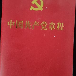 自主学习党章杨河军