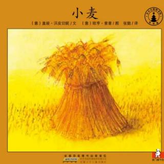 苗妈讲故事｜NO.2003《小麦》