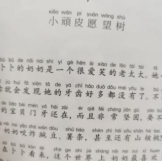 小顽皮愿望树