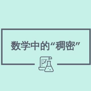 S4E26. 无孔不入：数学中的“稠密”