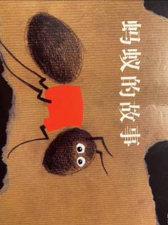 一只蚂蚁的故事