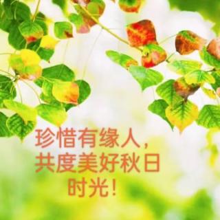 珍惜有缘人，共度美好秋日时光