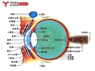 阿托品