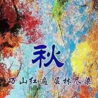 《立秋，云天收夏色，木叶动秋声》作者：王小霞 朗读若兰