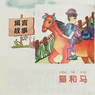 睡前故事2298《小寓言大语文》之《猫和马》