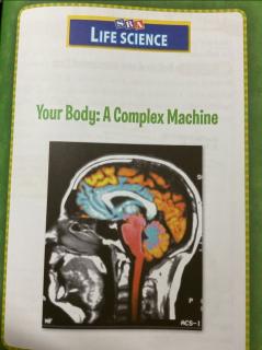 Elva Your Body: A Complex Machine 1