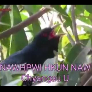 Chyangau U🎻
Hkawn~Nawhpwi Hkun Naw