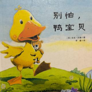 《别怕，鸭宝贝》