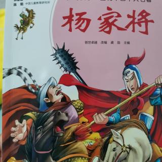 《杨家将17》——主播焦馆长