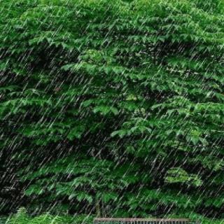 《雨的四季》
作者：刘湛秋
声音：张雨