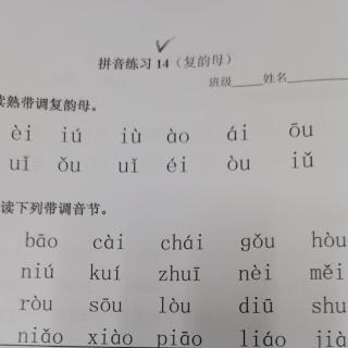 《拼音练习14》