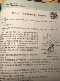 《贺银成国家临床执业医师资格考试辅导讲义》下18篇第28章