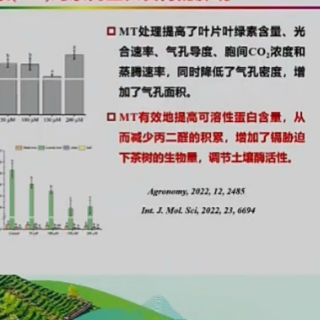 周轶说茶：绿茶概论