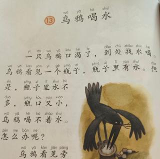 乌鸦喝水