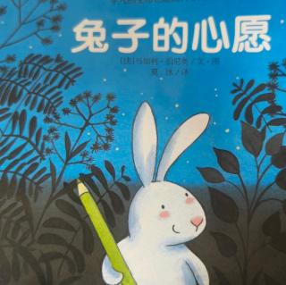 兔子🐰的心愿