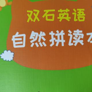 拼读书 ap,at