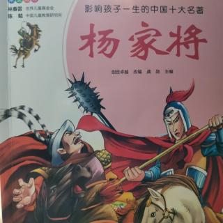 《杨家将20》——主播焦馆长