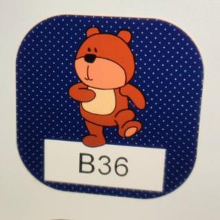 13.B36 bear squirrel