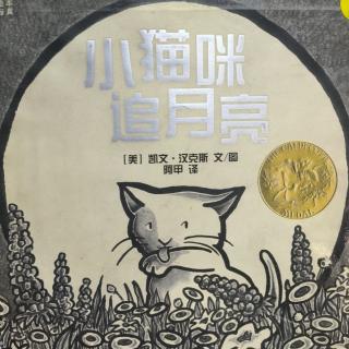 《小猫咪追月亮》