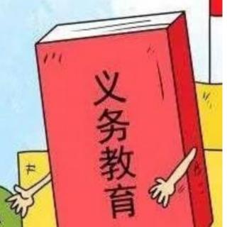 《知错就改的小鸟》