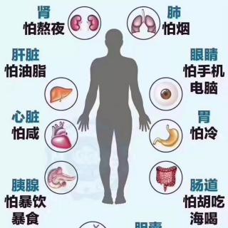 一段话告诉你人体器官健康最怕什么