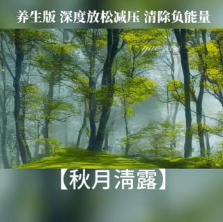 秋月清露 丨减压悦心音乐