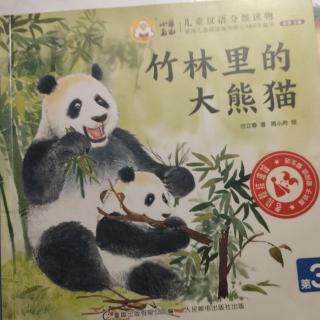 竹林里的大熊猫