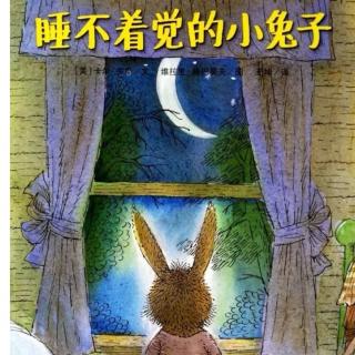 《睡不着觉的小兔子》[美]卡尔·罗斯