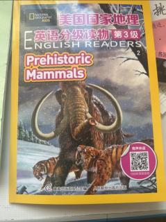 Prehistoric mammals day 2