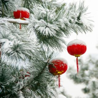 瑞雪新年颂 雨馨