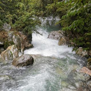 花又落（自伴奏试唱1）