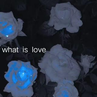 《What is Love》