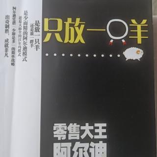 《只放一只羊》秘密之6放弃预算和成堆的数据