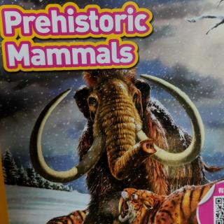 prehistoric mammals whole Jeremy10