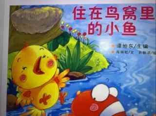 小杨老师睡前故事《住在鸟窝🪹里的小鱼》