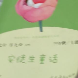 《枞树》