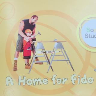 A home for Fido