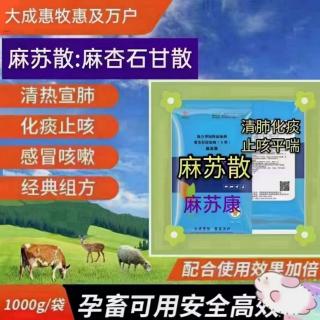 养羊饲料干喂和湿喂哪个更好？