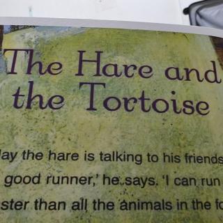 Kiki朗读：The Hare and the Tortoise