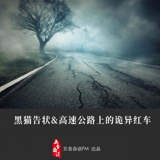 灵异向 | 黑猫告状&高速公路上的诡异红车