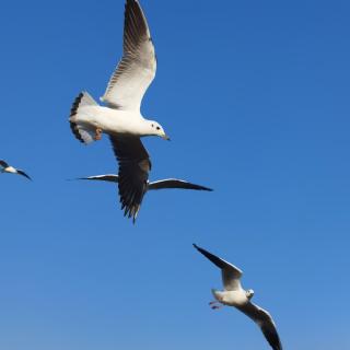 《站在阳光里》