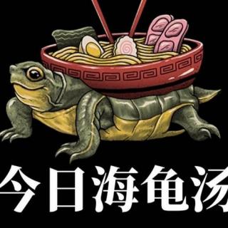 天冷请喝汤：一碗一碗海龟汤