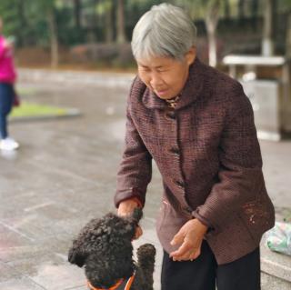 《学庸论语.颜渊第十二》