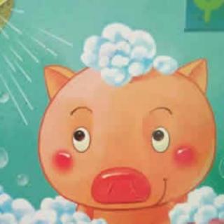 胖小猪洗澡🚿